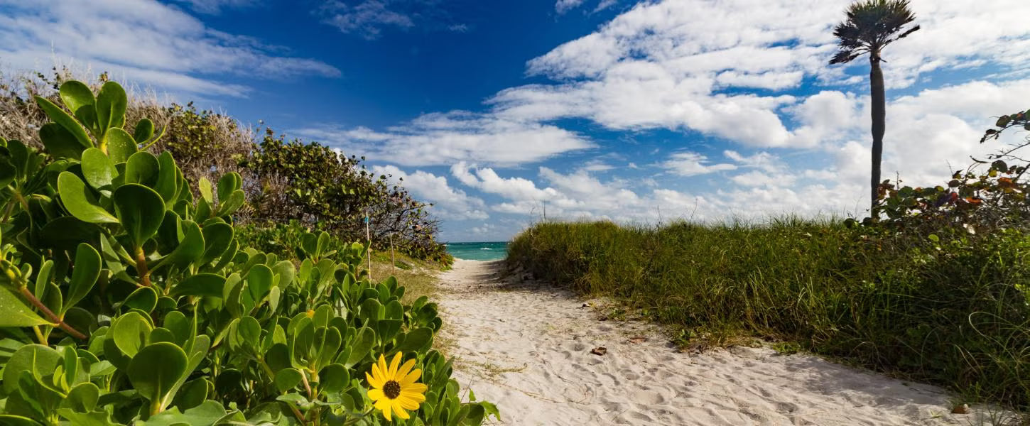Load video: Florida State Parks: The Real Florida